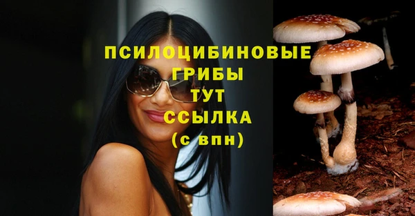 соль курить ск Касимов