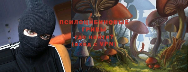 прущие грибы Каменка