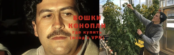 экстази Каменногорск