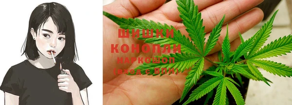прущие грибы Каменка