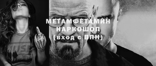 прущие грибы Каменка