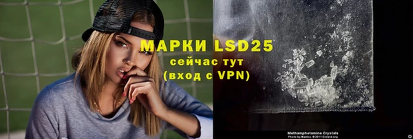 прущие грибы Каменка