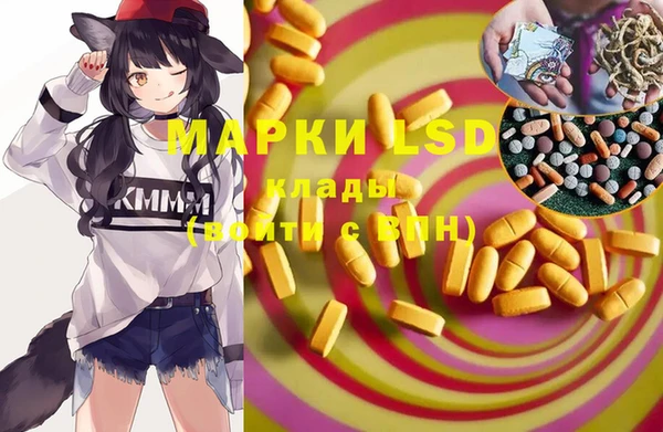 прущие грибы Каменка