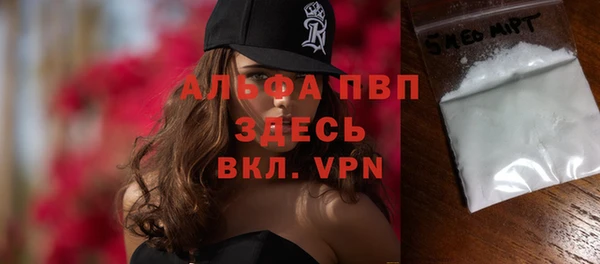 прущие грибы Каменка