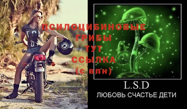 экстази Каменногорск