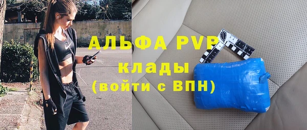 прущие грибы Каменка