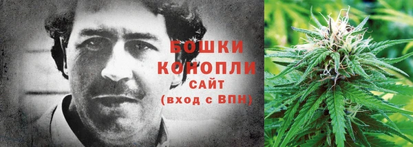 прущие грибы Каменка