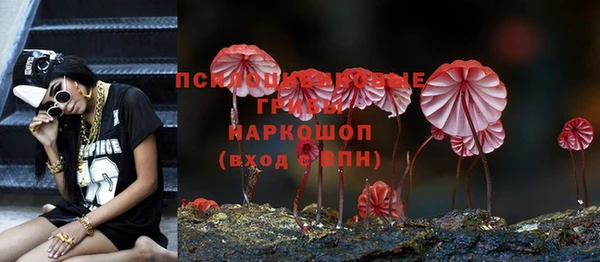 экстази Каменногорск