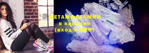 прущие грибы Каменка