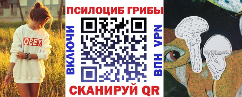 Купить где  Змеиногорск  Галлюциногенные грибы прущие грибы 