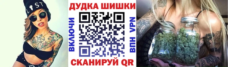Бошки марихуана AK-47 Купить закладки Змеиногорск